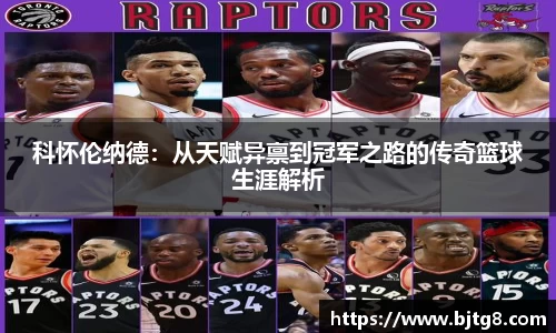 3377体育官网